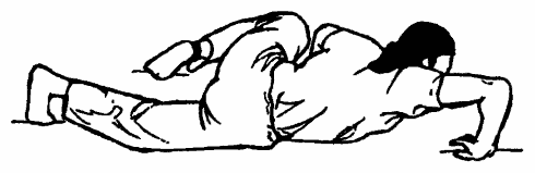 Да-цзе-шу — искусство пресечения боя - pic299.png