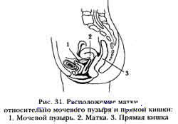 Здоровье в три шага. Базовый курс системы М. Норбекова - doc2fb_image_02000014.jpg