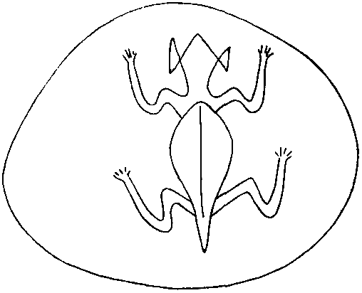 Тайны трёх океанов - pic05.png