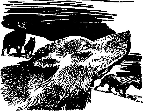 Каким ты вернешься? Научно-фантастические повести и рассказы - i_007.jpg