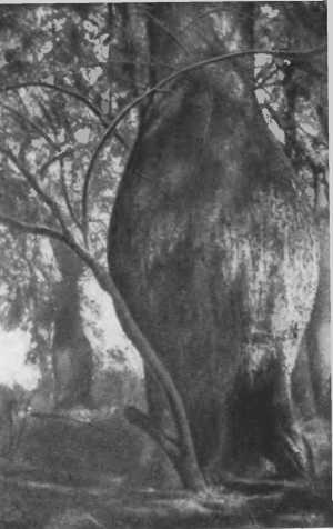 Там, за рекою, — Аргентина - i_036.jpg