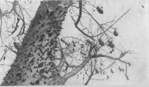 Там, за рекою, — Аргентина - i_037.jpg