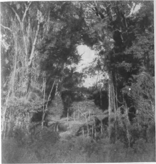 Там, за рекою, — Аргентина - i_064.jpg