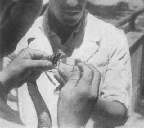 Там, за рекою, — Аргентина - i_065.jpg