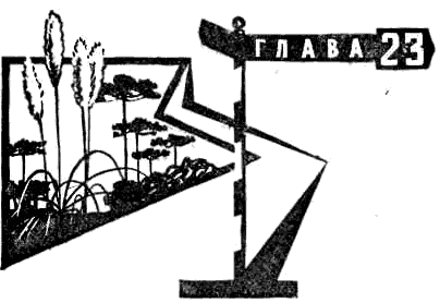 Там, за рекою, — Аргентина - i_103.png