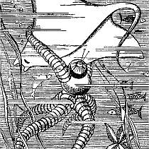 Оранжеве серце - doc2fb_image_03000009.png