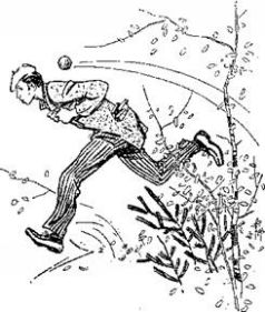 Талисман (сборник) - i_032.jpg