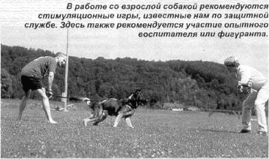 Апортировка весело, быстро, четко - i_002.jpg