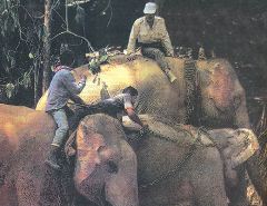 Журнал «Вокруг Света» №1 за 1994 год - any2fbimgloader35.jpeg