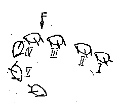 Учись морскому делу - _7.png_1