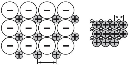 Верхом на бомбе. Судьба планеты Земля и ее обитателей - i_007.jpg