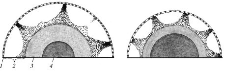 Верхом на бомбе. Судьба планеты Земля и ее обитателей - i_009.jpg