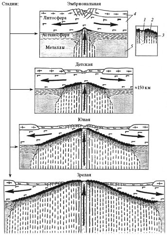 Верхом на бомбе. Судьба планеты Земля и ее обитателей - i_011.jpg