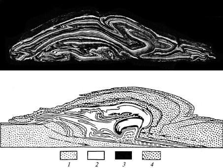 Верхом на бомбе. Судьба планеты Земля и ее обитателей - i_021.jpg