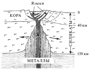 Верхом на бомбе. Судьба планеты Земля и ее обитателей - i_031.jpg