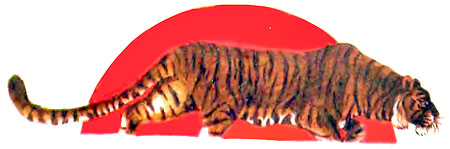 Фрам — полярный медведь - i_007.jpg