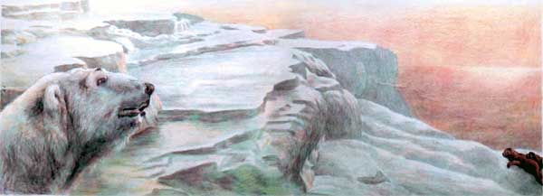 Фрам — полярный медведь - i_047.jpg