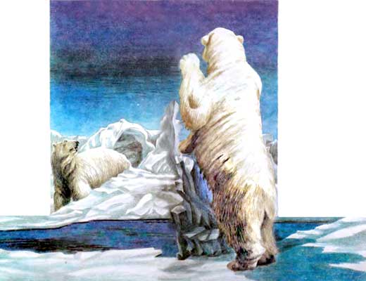 Фрам — полярный медведь - i_050.jpg