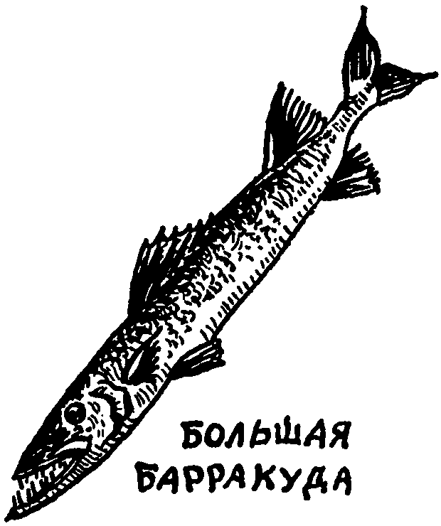 Клуб знаменитых капитанов. Книга 1 - pic44.png