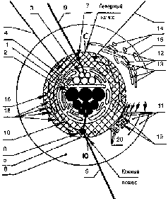 Ереси (2008) - pic_6.png