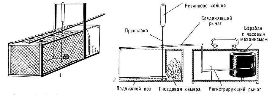 Большая Советская Энциклопедия (АК) - i010-001-271985146.jpg