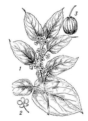 Большая Советская Энциклопедия (АК) - i010-001-286712068.jpg