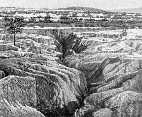 Большая Советская Энциклопедия (АФ) - i010-001-282889188.jpg