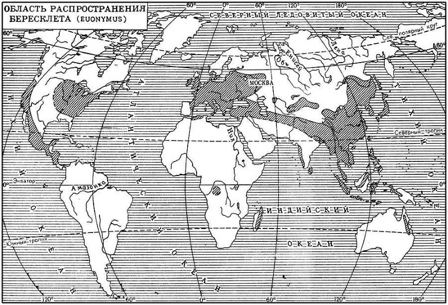 Большая Советская Энциклопедия (БЕ) - i009-001-224841330.jpg