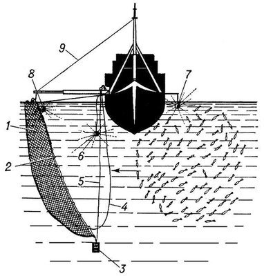 Большая Советская Энциклопедия (БЕ) - i010-001-283056829.jpg