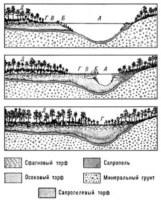 Большая Советская Энциклопедия (БО) - i010-001-262536718.jpg