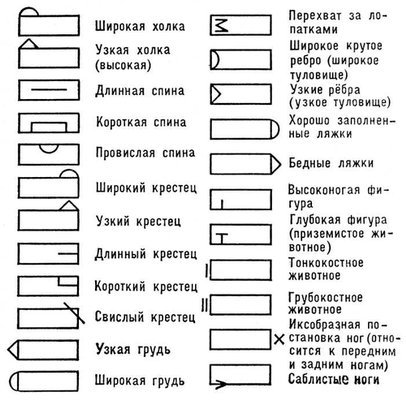 Большая Советская Энциклопедия (БО) - i010-001-264293986.jpg