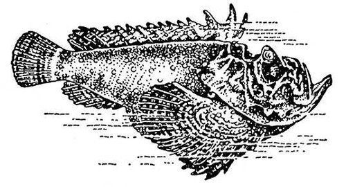 Большая Советская Энциклопедия (БО) - i010-001-246252814.jpg