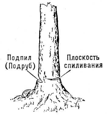 Большая Советская Энциклопедия (ВА) - i009-001-239190865.jpg