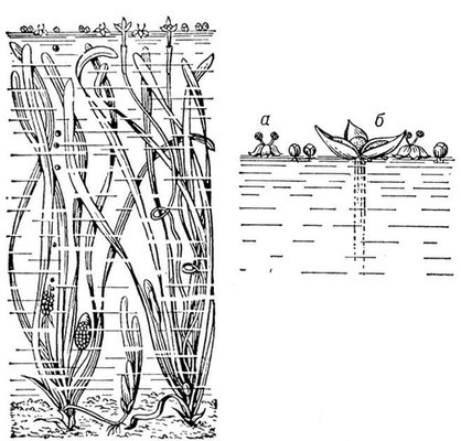 Большая Советская Энциклопедия (ВА) - i010-001-258378135.jpg