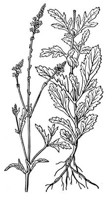 Большая Советская Энциклопедия (ВЕ) - i010-001-256188903.jpg