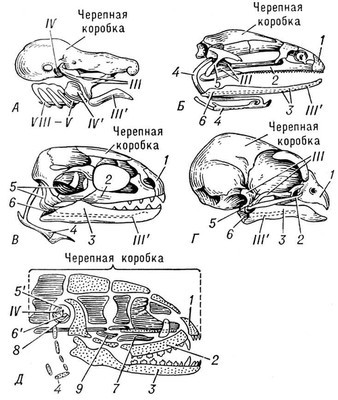 Большая Советская Энциклопедия (ВИ) - i009-001-218171025.jpg