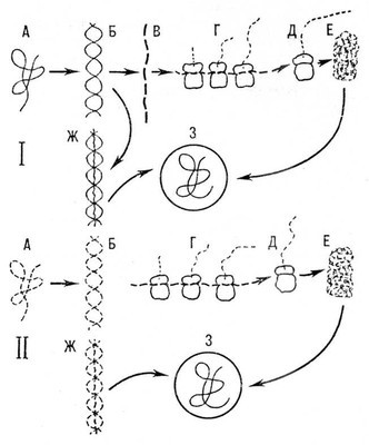 Большая Советская Энциклопедия (ВИ) - i009-001-219076820.jpg