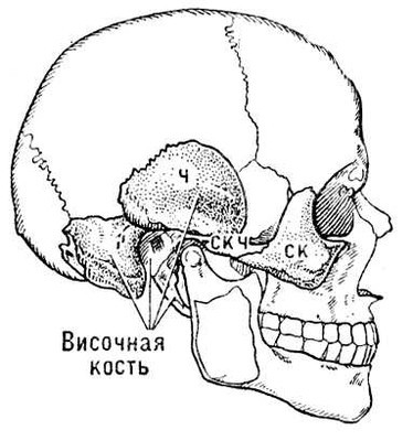 Большая Советская Энциклопедия (ВИ) - i010-001-256951196.jpg