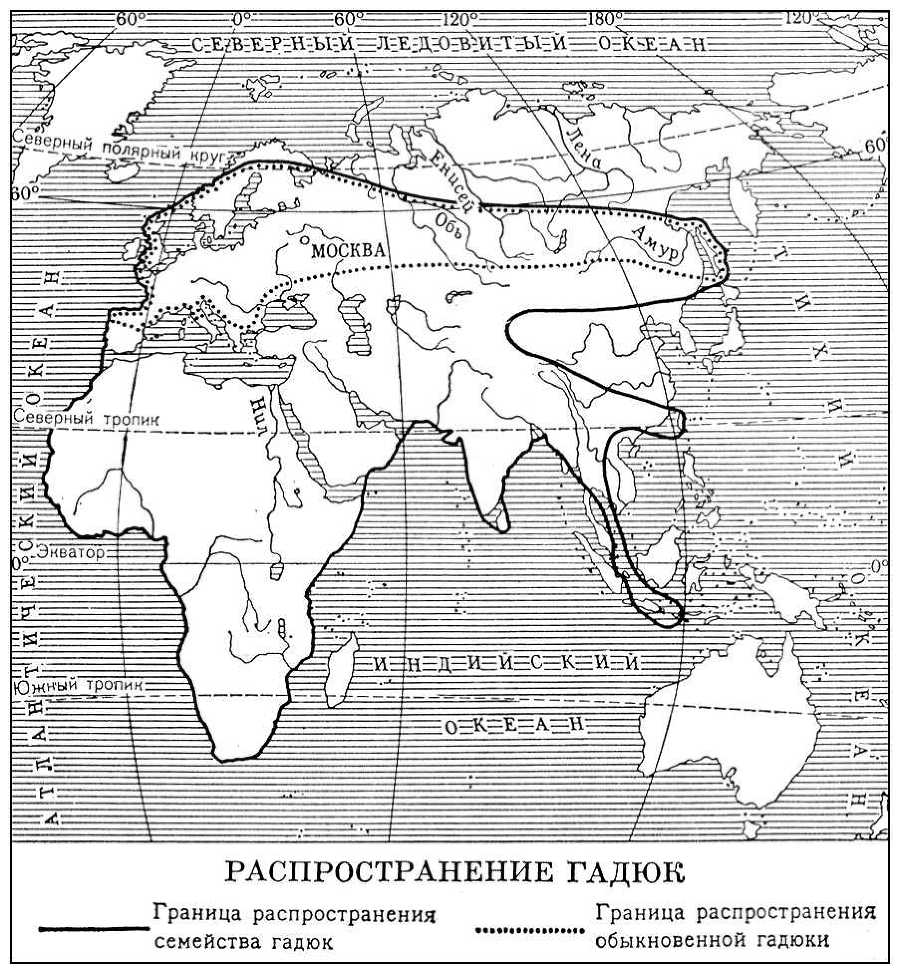 Большая Советская Энциклопедия (ГА) - i009-001-223214363.jpg