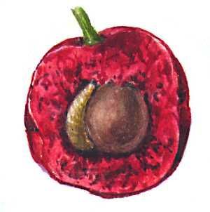 Большая Советская Энциклопедия (ВР) - i008-pictures-001-299464926.jpg