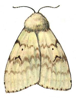 Большая Советская Энциклопедия (ВР) - i009-001-201359905.jpg