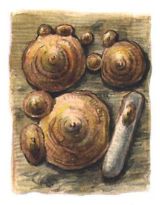 Большая Советская Энциклопедия (ВР) - i009-001-209849381.jpg