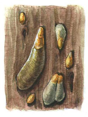 Большая Советская Энциклопедия (ВР) - i009-001-213425162.jpg