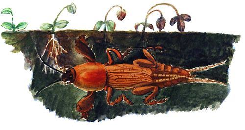 Большая Советская Энциклопедия (ВР) - i009-001-214204133.jpg