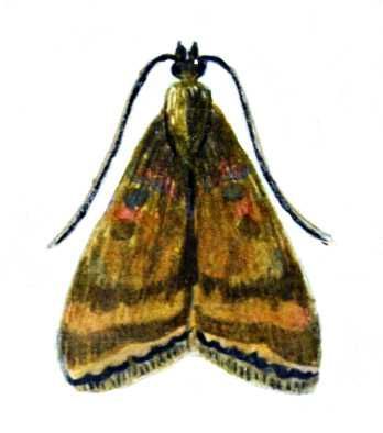 Большая Советская Энциклопедия (ВР) - i009-001-215202066.jpg