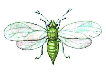 Большая Советская Энциклопедия (ВР) - i009-001-218837862.jpg