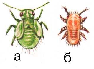 Большая Советская Энциклопедия (ВР) - i009-001-229532093.jpg