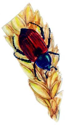 Большая Советская Энциклопедия (ВР) - i009-001-233696230.jpg