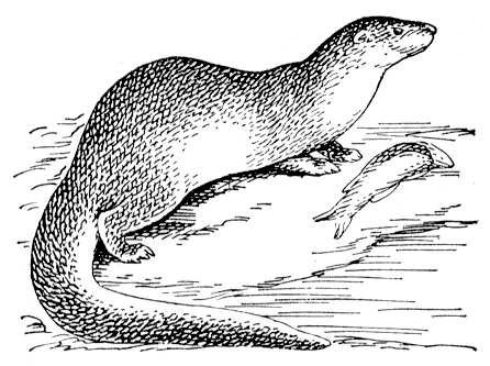 Большая Советская Энциклопедия (ВЫ) - i008-pictures-001-288266388.jpg