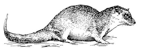 Большая Советская Энциклопедия (ВЫ) - i009-001-225623644.jpg